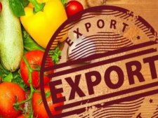 export