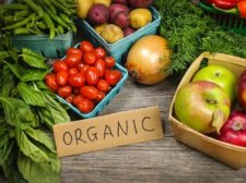 Organic